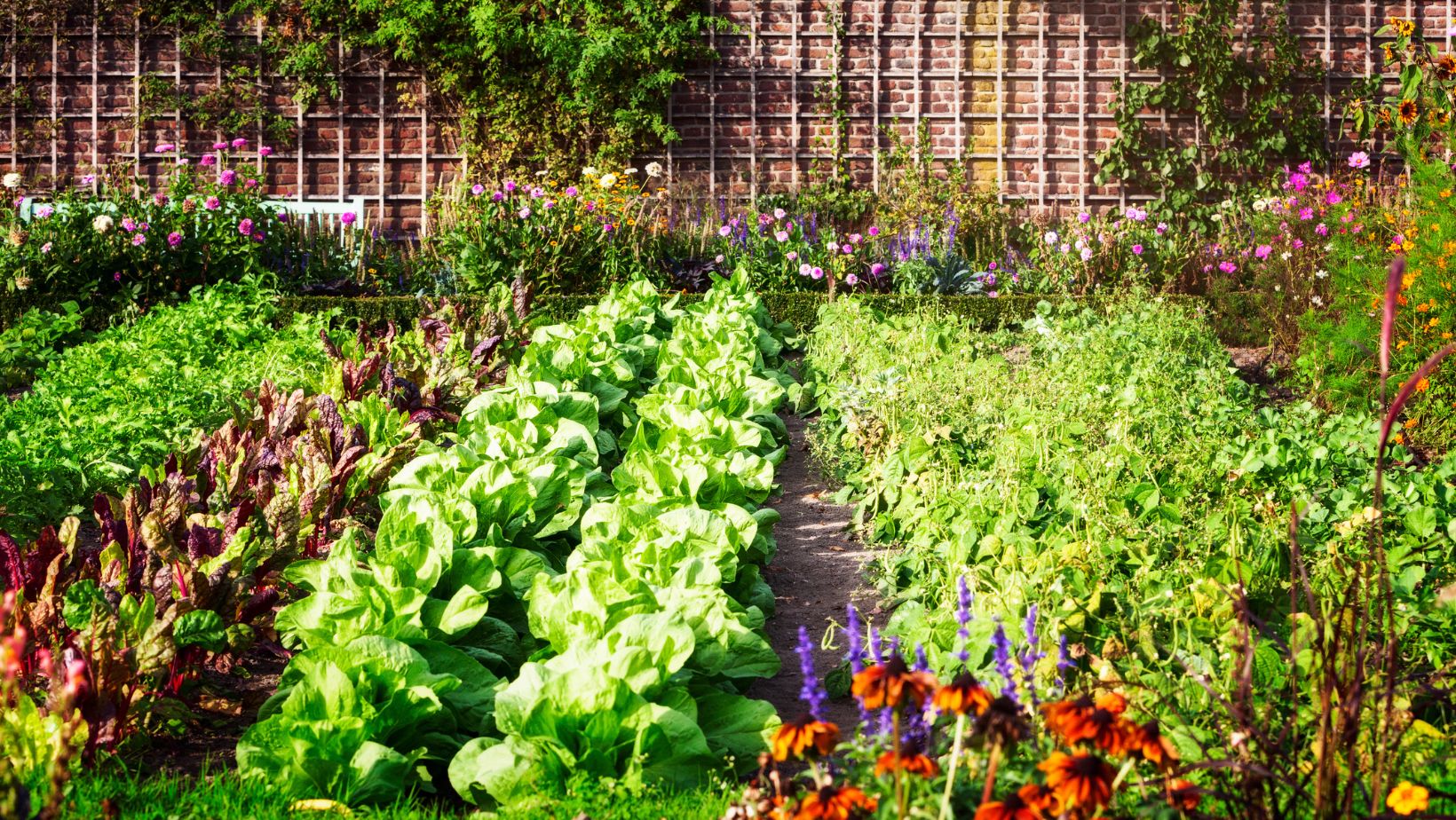 Vegetable Gardening Classes Near Me